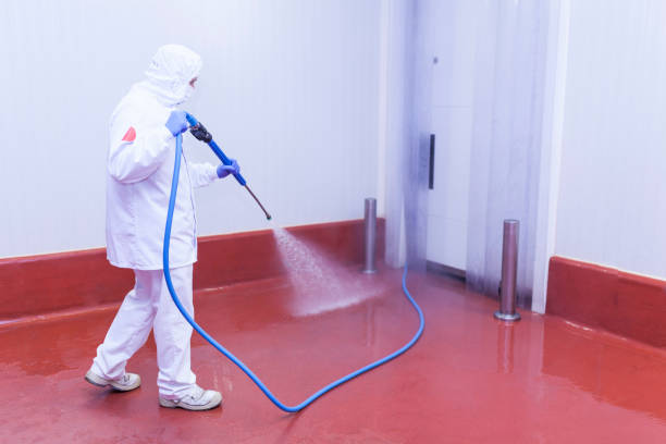 Best Driveway Cleaning and Restoration in Englewood, OH